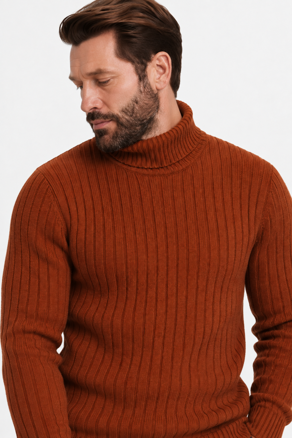 Turtleneck ribbed sweater